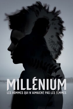 Millénium : Les hommes qui n'aimaient pas les femmes (2011)