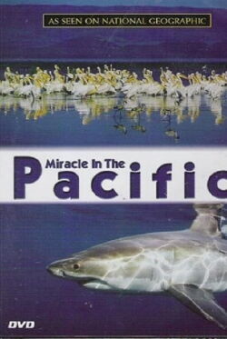Miracle in the Pacific (2004)