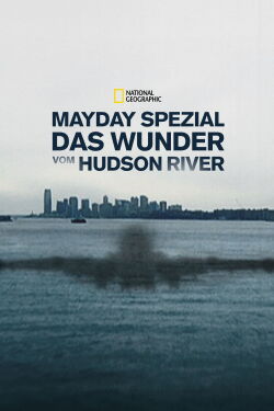 Miracle Landing on the Hudson (2014)