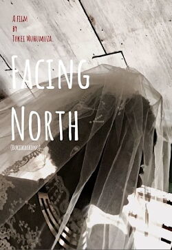 Mirando al Norte (2018)