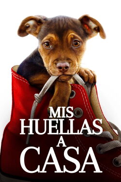 Mis Huellas a Casa (2019)