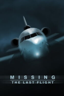 Missing - The Last Flight (2013)