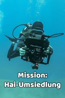Mission: Hai-Umsiedlung (2019)