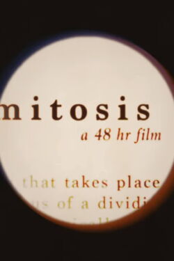 Mitosis (2020)