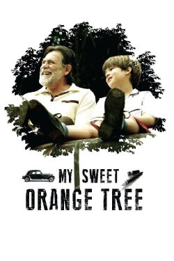 Mon bel oranger (2012)