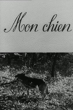 Mon chien (1955)