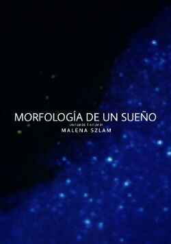 Morphology of a Dream (2014)