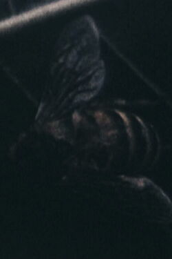 Morte all'orecchio di Van Gogh (1968)
