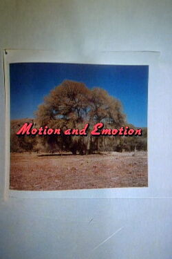 Motion and Emotion: The Road to Paris, Texas (1990)
