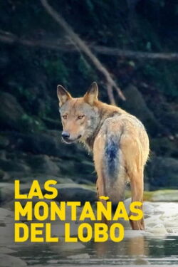 Mountains of the Wolf (2003)