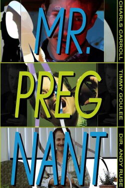 Mr. Pregnant (2019)