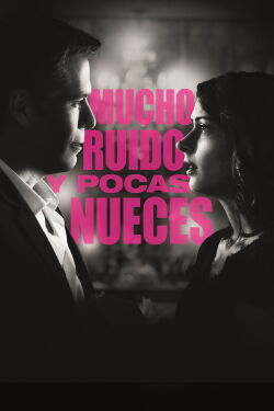 Much Ado About Nothing (2013)