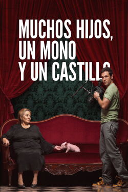 Muchos hijos, un mono y un castillo (2017)