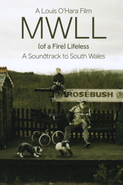 Mwll (of a Fire) Lifeless (2023)