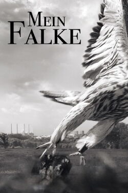 My Falcon (2023)