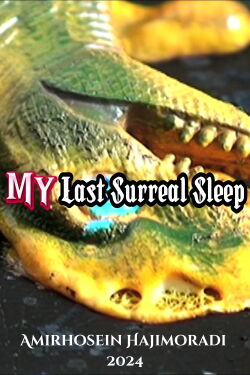 My Last Surreal Sleep (2024)