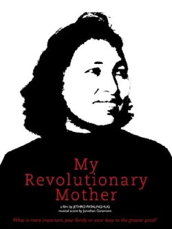 My Revolutionary Mother (2013)