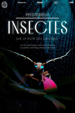 Mysterious Origins of Insects (2022)