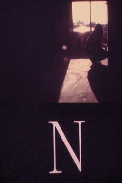 N (1996)