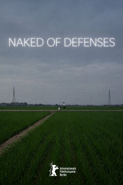 Naked of Defenses (2008)