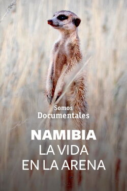 Namibia, la vida en la arena (2022)