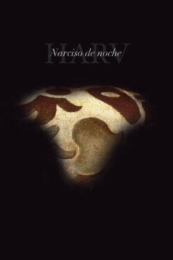 Narcissus by Night (2020)
