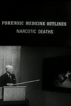 Narcotic Deaths (1970)