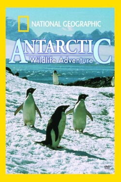 National Geographic: Antarctic Wildlife Adventure (1997)