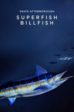 National Geographic Channel Superfish (2008)