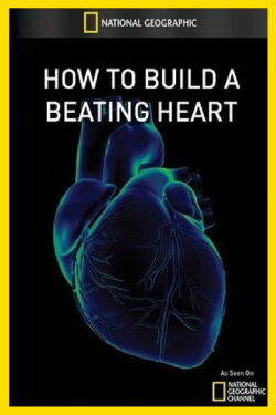 National Geographic: How to Build A Beating Heart (2011)