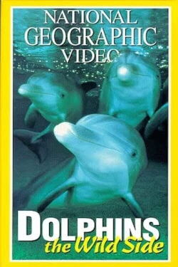 National Geographic - La cara oculta de los delfines (1999)