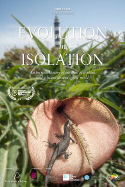 Nàufrags de l'evolució (2016)