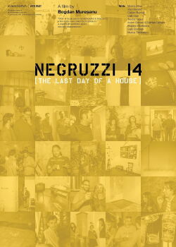 Negruzzi 14 (2016)