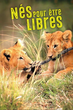Nés pour être libres (1972)