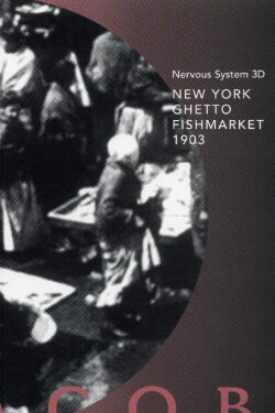 New York Ghetto Fishmarket 1903 (2007)