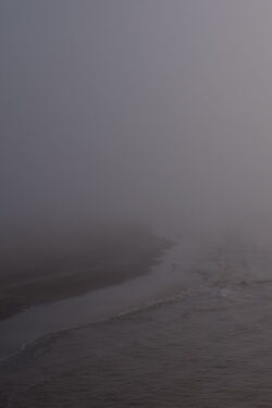Niebla (2017)
