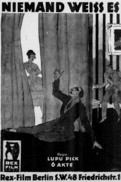 Niemand weiß es (1920)