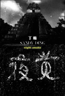 Night Awake (2016)