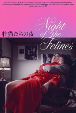 Night of the Felines (1972)