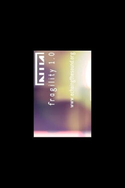 Nine Inch Nails: Fragility 1.0 (1999)