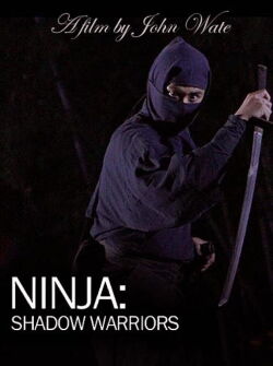 Ninja Shadow Warriors (2012)