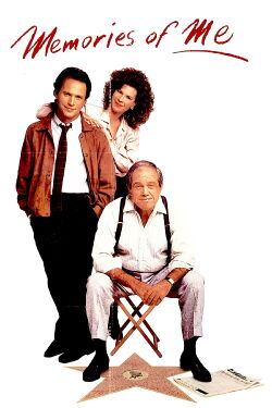 No somos perfectos (1988)