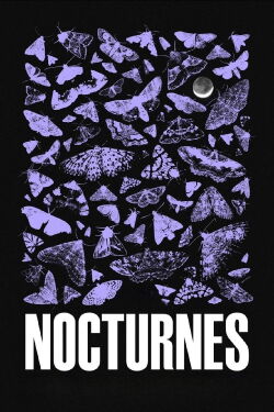 Nocturnes (2024)