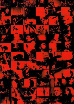 Noir Désir : En images (2005)
