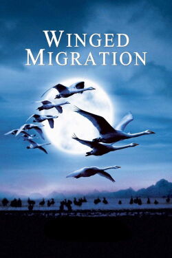 Nómadas del viento (2001)