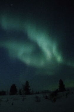 Nordlicht (1988)