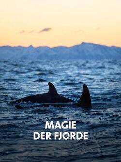 NORWAY´S MAGICAL FJORDS (2020)