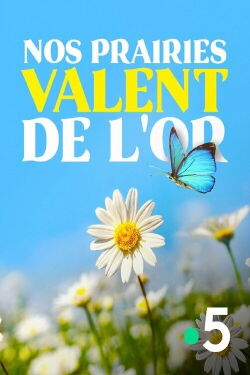 Nos prairies valent de l'or (2020)