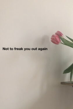 Not to freak you out again (2021)