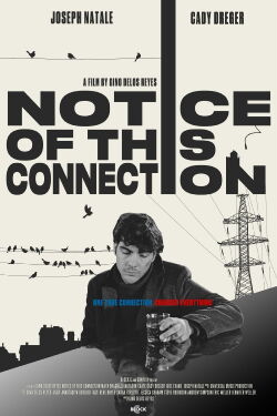 Notice of This Connection (2024)